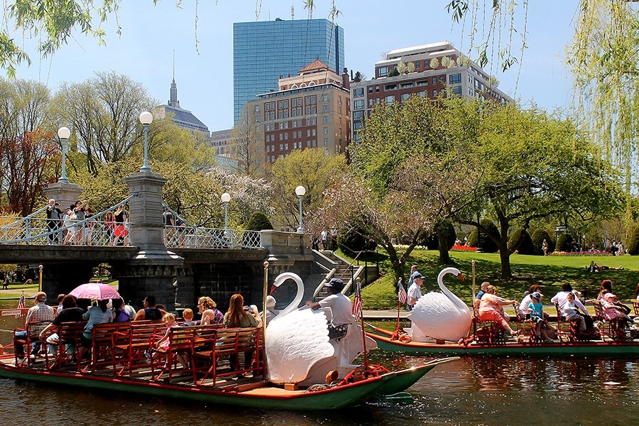 Swan Boats, Boston Garden